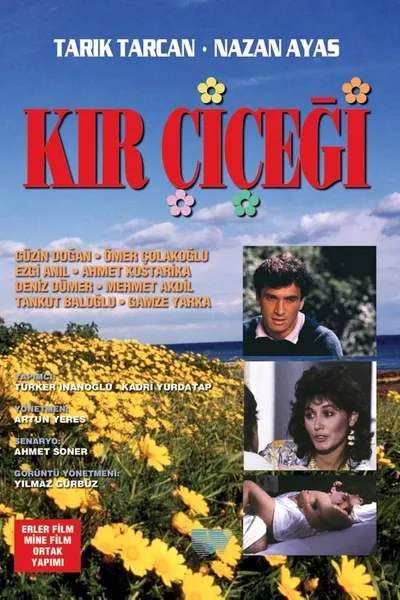 Kır Çiçeği
