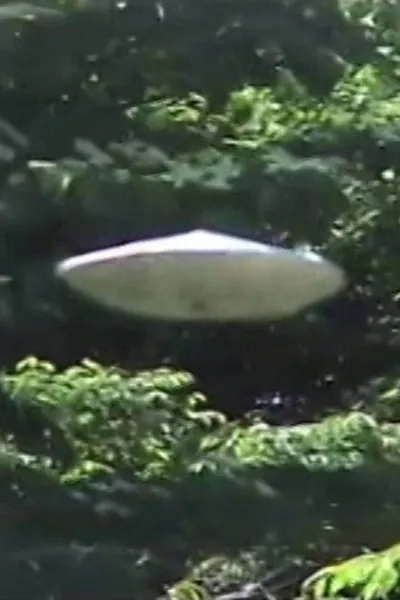 Buchou to UFO-gokko