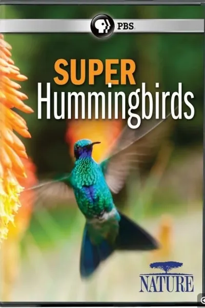 Super Hummingbirds