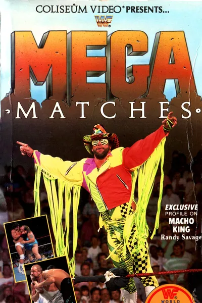 WWE Mega Matches