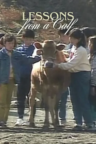 Lessons from a Calf