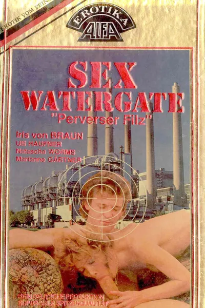 Sex Watergate - "Perverser Filz"