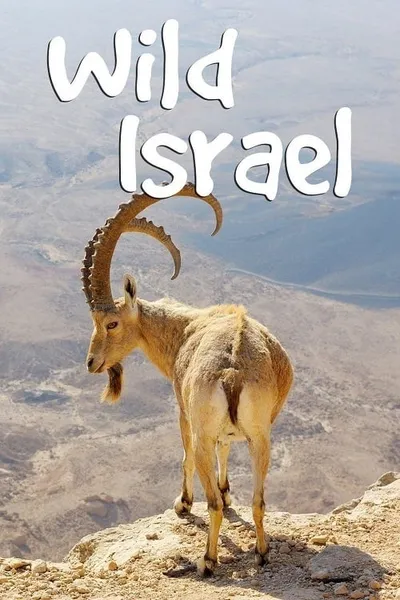 Wild Israel