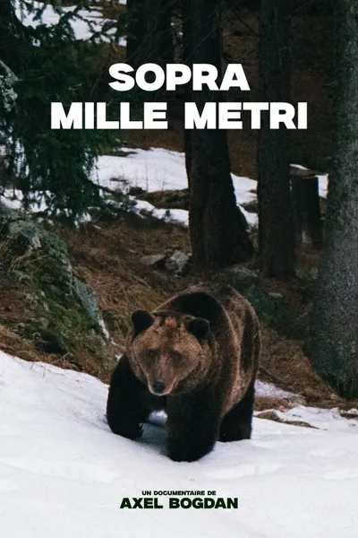 Sopra Mille Metri