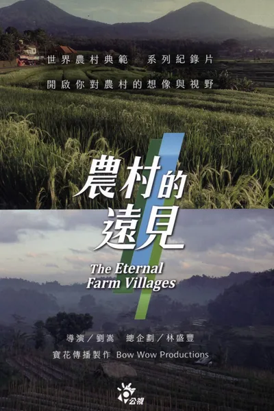 农村的远见