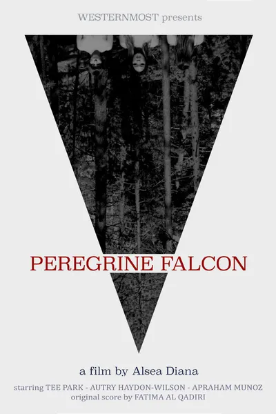 Peregrine Falcon