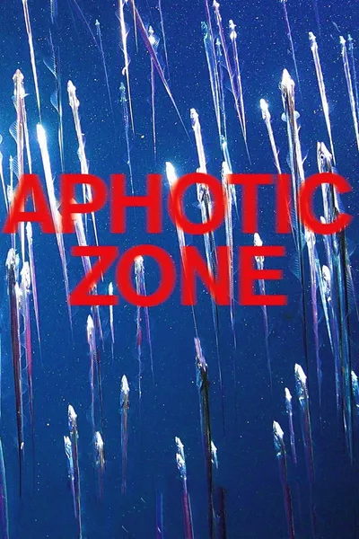 Aphotic Zone