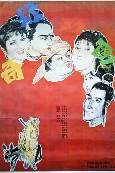 奇缘巧配