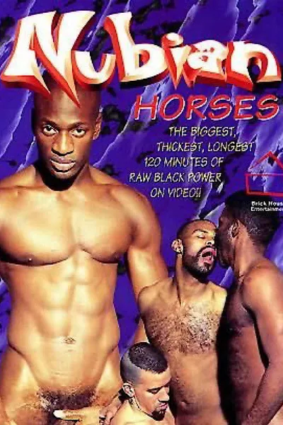 Nubian Horses