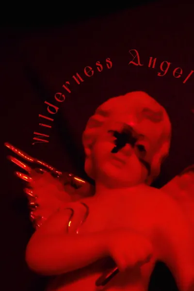 Wilderness Angel