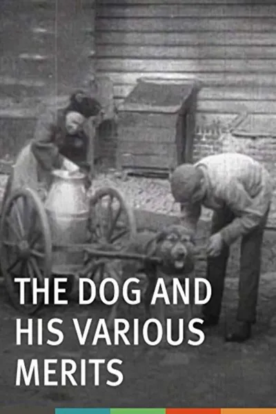 The Dog and His Various Merits