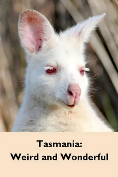 Tasmania: Weird and Wonderful