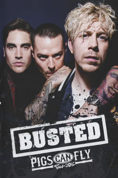 Busted: Pigs Can Fly Tour 2016