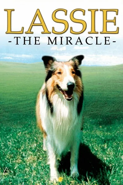 Lassie: The Miracle