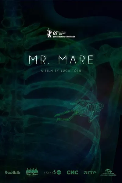 Mr. Mare