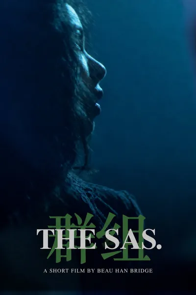 The SAS
