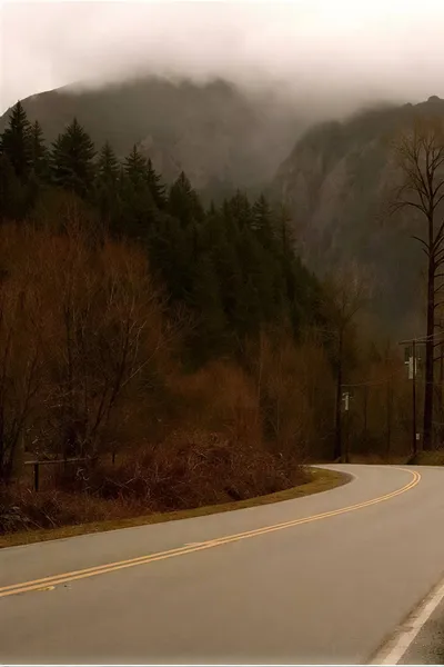 Trees Clip