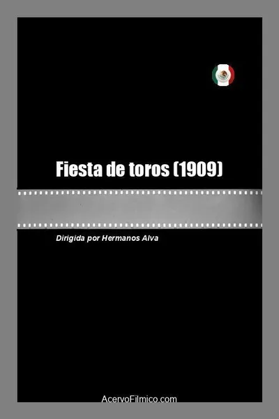 Fiesta de toros