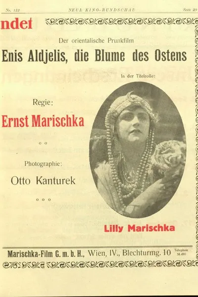 Enis Aldjelis, die Blume des Ostens