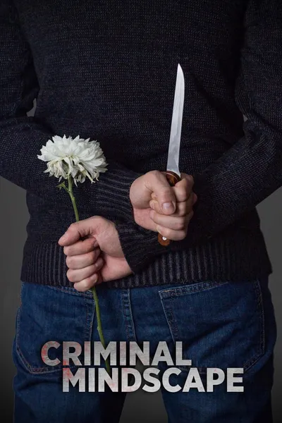 Criminal Mindscape