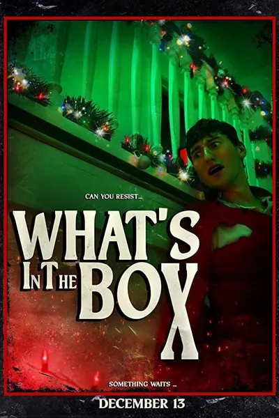 What's in the Box