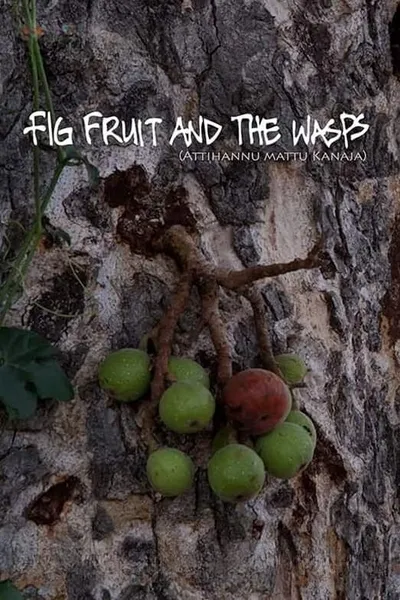 Fig Fruit and The Wasps