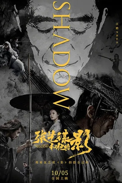 Zhang Yimou's "Shadow"