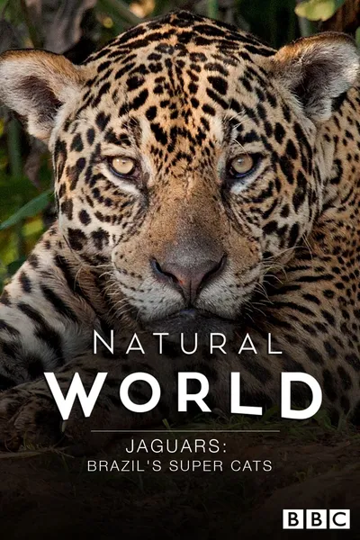 Jaguars: Brazil's Super Cats