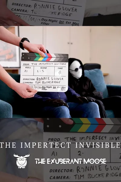 The Imperfect Invisible