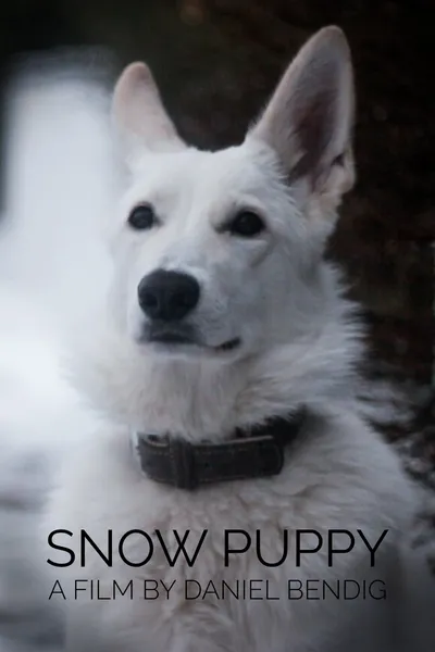 Snow Puppy