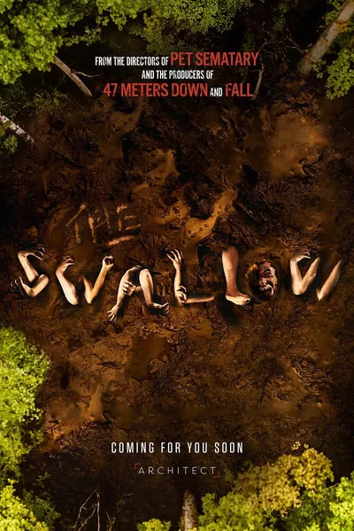 The Swallow