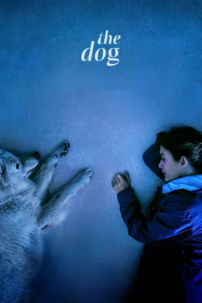 The Dog
