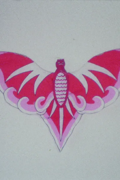 Bat Kite Lucy Robin