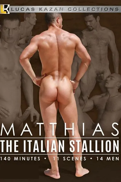 Matthias: The Italian Stallion