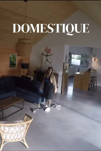 Domestique