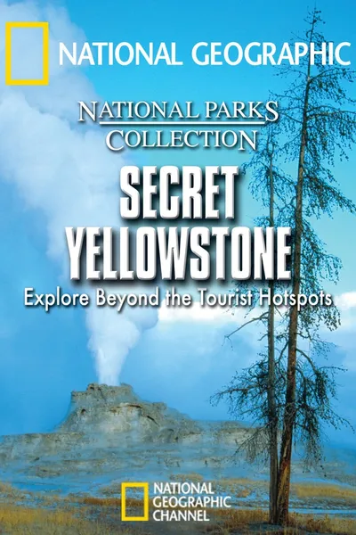 Secret Yellowstone