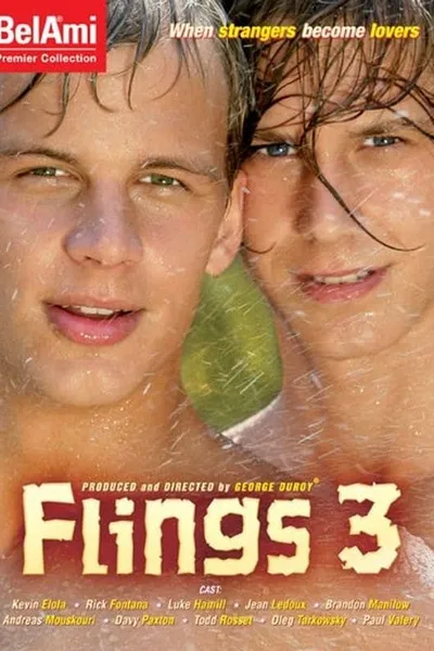 Flings 3
