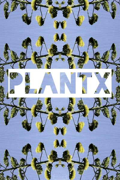 Plant X