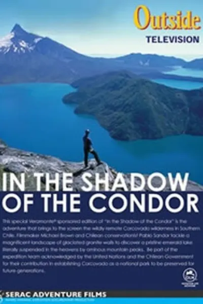 In the Shadow of the Condor