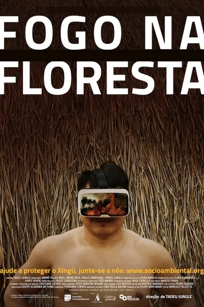 Fire in the Forest