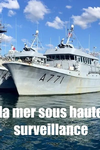 La mer sous haute surveillance