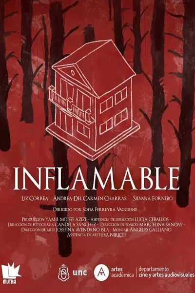 Inflamable