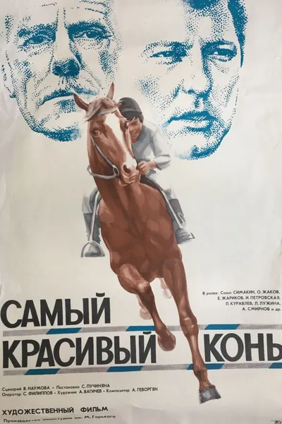 The Most Beautiful Horse