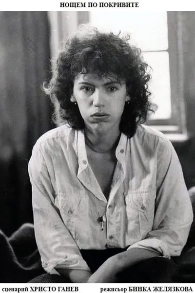 On the Roofs at Night