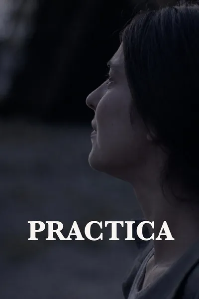 Practica