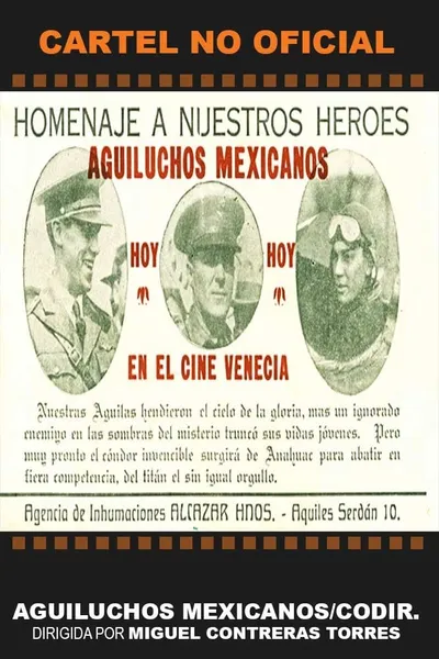 Aguiluchos mexicanos