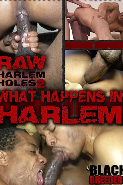 Raw Harlem Holes 2: What Happens in Harlem