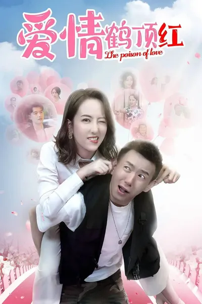 爱情鹤顶红