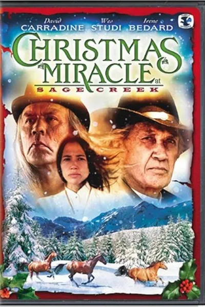 Miracle at Sage Creek