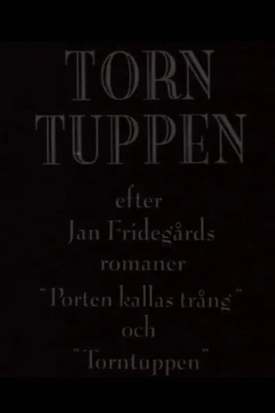 Torntuppen